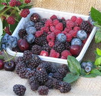 Bright Berry Farms - South Australia Travel