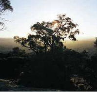 Yarra Flats - South Australia Travel