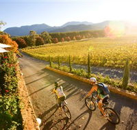 Boyntons Feathertop Winery - South Australia Travel