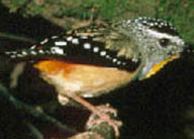  South Australia Travel