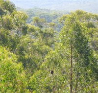 Bunyip State Park - South Australia Travel