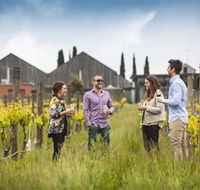 Willow Creek Vineyard - South Australia Travel