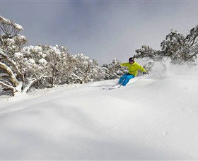 Mt Buller And Mt Stirling Alpine Resort - South Australia Travel 0