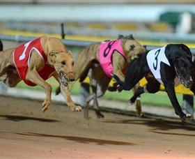 The Beckley Centre - South Australia Travel 0