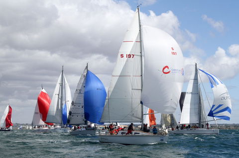 Royal Geelong Yacht Club - South Australia Travel 14