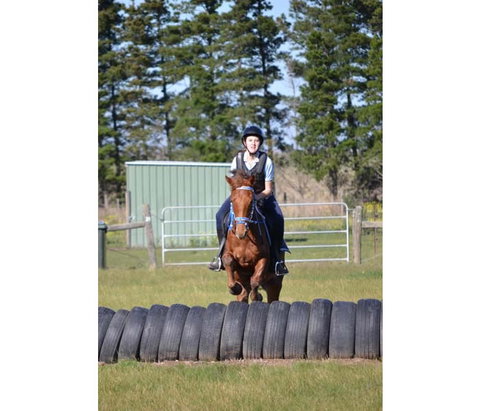 Saddle On Riding School - South Australia Travel 9