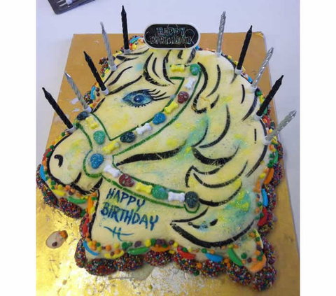 Saddle On Riding School - South Australia Travel 10