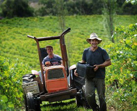 Kellybrook Winery & Kelly Brothers Cider - South Australia Travel 0