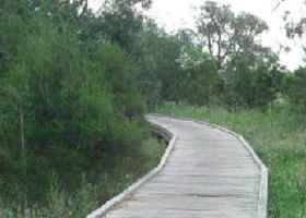 Shepherds Bush - South Australia Travel 0