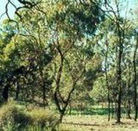 Leaghur State Park - South Australia Travel