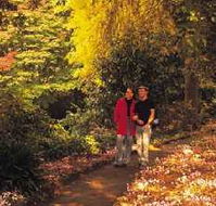 George Tindale Memorial Gardens - South Australia Travel