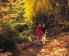 George Tindale Memorial Gardens - South Australia Travel 0