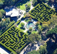 Ashcombe Maze  Lavender Gardens - South Australia Travel