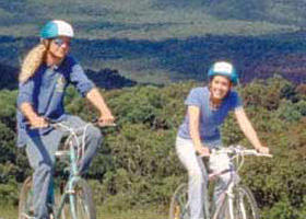 Lysterfield Park - South Australia Travel 0