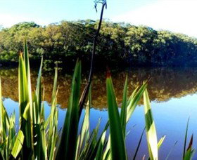 Menzies Creek VIC South Australia Travel
