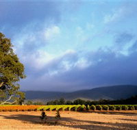 Mount Avoca - South Australia Travel