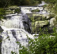 Agnes Falls Scenic Reserve - South Australia Travel