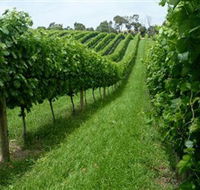 The Cups Estate - South Australia Travel
