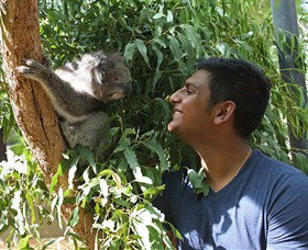 Healesville Sanctuary - South Australia Travel 0