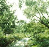 Holey Plains State Park - South Australia Travel