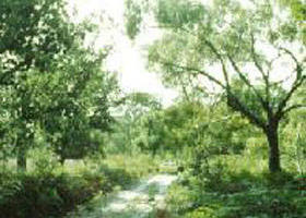 Holey Plains State Park - South Australia Travel 0