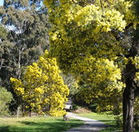Wattle Park - South Australia Travel