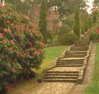 Maroondah Reservoir Park - South Australia Travel