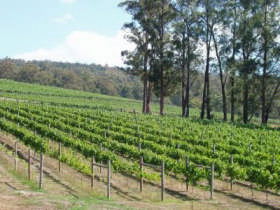 Tanjil Bren VIC South Australia Travel