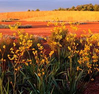 Royal Botanic Gardens Victoria Cranbourne - South Australia Travel
