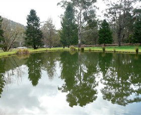 Mountain Fresh Trout And Salmon Farm - South Australia Travel 0