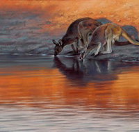 Steve Morvell Wildlife Art - South Australia Travel
