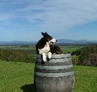 Windy Ridge Vineyard and Winery - South Australia Travel
