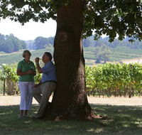Five Oaks Vineyard - South Australia Travel