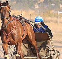 Ballarat  District Trotting Club - South Australia Travel