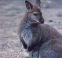 Churchill National Park - South Australia Travel