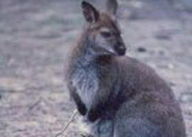 Churchill National Park - South Australia Travel 0
