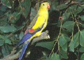 Lorquon VIC South Australia Travel