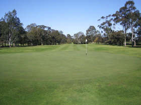 Maffra Golf Club - South Australia Travel 0
