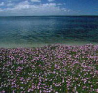 The Lakes National Park - South Australia Travel
