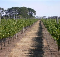 Mount Beckworth Wines - South Australia Travel