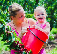 Cherryhill Orchards - South Australia Travel