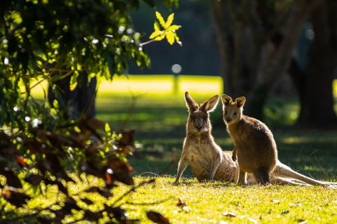Club Catalina - South Australia Travel 2