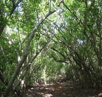 Eucalypt Trail - South Australia Travel