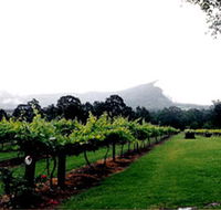 Cambewarra Estate Wines - South Australia Travel