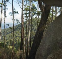 Gulaga National Park - South Australia Travel