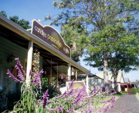 Central Tilba NSW South Australia Travel