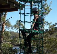 Trees Adventure Shoalhaven - South Australia Travel