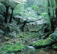 Deua National Park - South Australia Travel