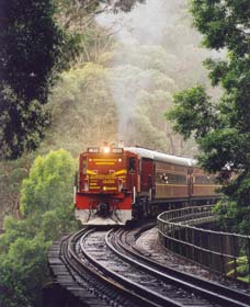 Cockatoo Run - Scenic Tour Train Operated By 3801 Limited - South Australia Travel 0