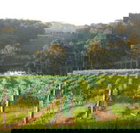 Tilba Valley Wines - South Australia Travel